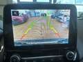 Ford EcoSport Titanium,Zahnrimen neu 1Hand Silber - thumbnail 13