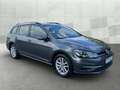 Volkswagen Golf Variant VII Variant 1.6 TDI COMFORT *LED *PANO *RKAM *ACC Gris - thumbnail 3