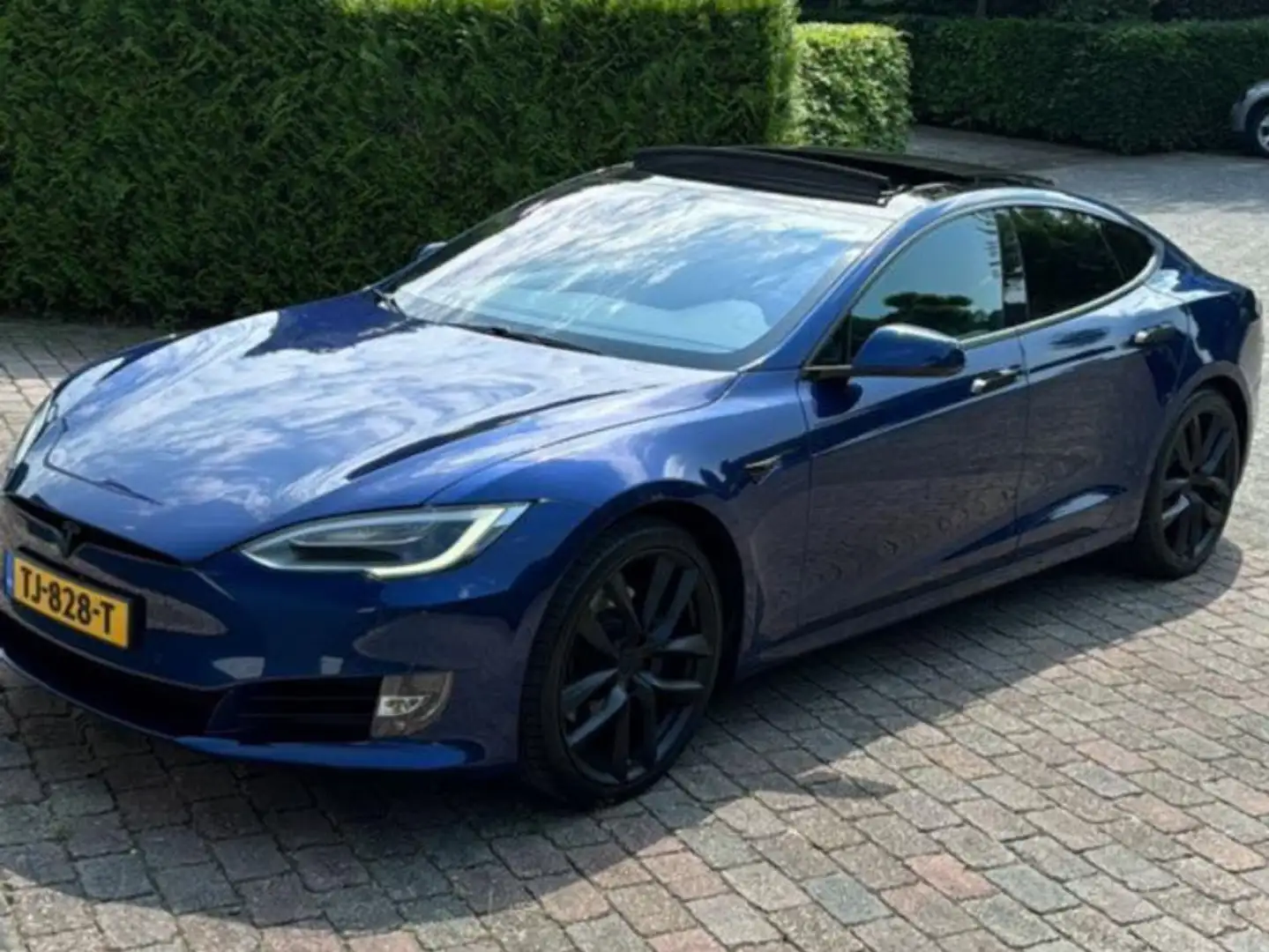 Tesla Model S Model S 100D Blauw - 1
