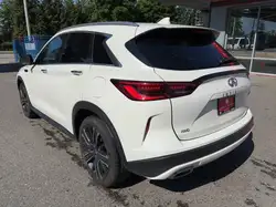 Infiniti QX50 2022