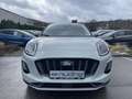 Ford Puma 1.0 EcoBoost Hybrid Titanium Navi/RFK/LED Grau - thumbnail 3