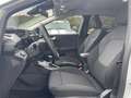 Ford Puma 1.0 EcoBoost Hybrid Titanium Navi/RFK/LED Grau - thumbnail 13