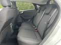 Ford Puma 1.0 EcoBoost Hybrid Titanium Navi/RFK/LED Grau - thumbnail 14