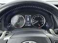 Lexus IS 300 300h Hybrid Business Line | Stoelverwarming | Park Grau - thumbnail 6