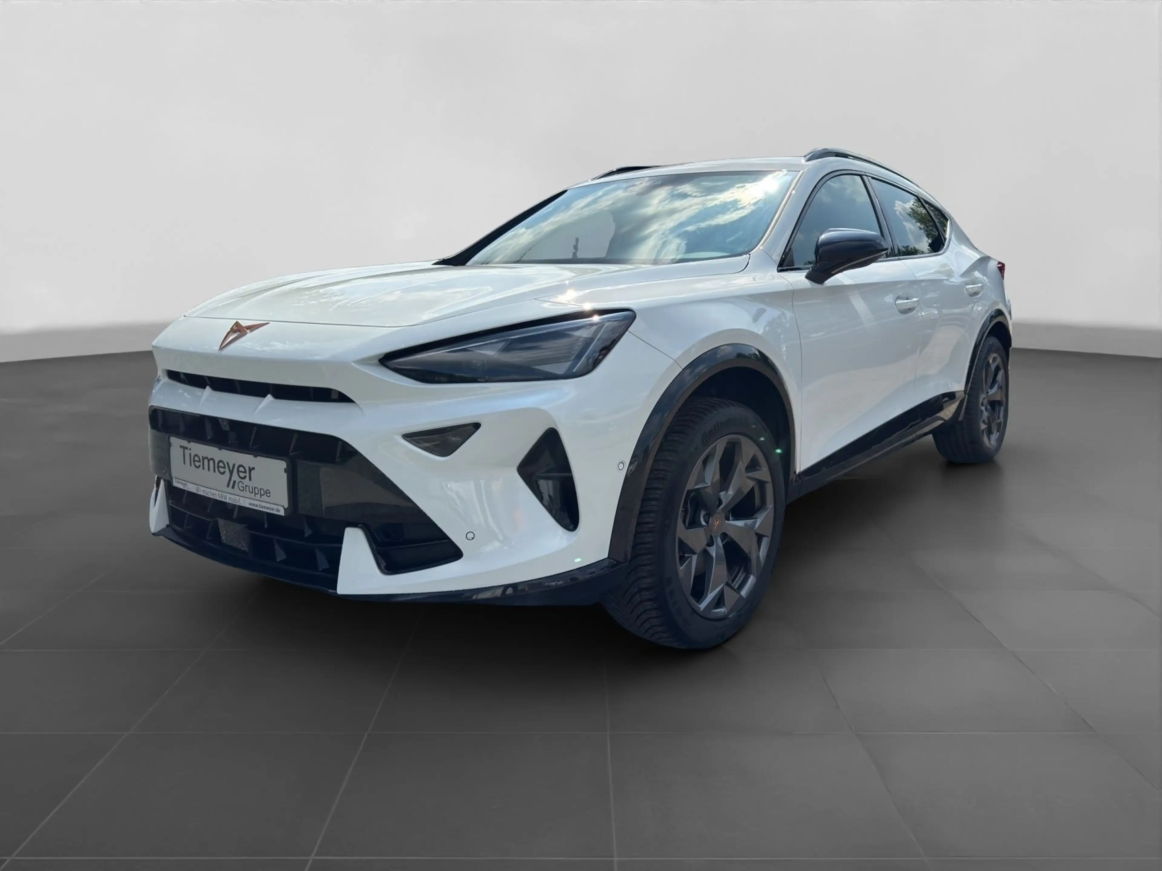 CUPRA Formentor 2.0 TDI DSG NAVI ACC SENNH PARKLENK GJ — photo 2