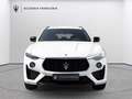 Maserati Levante Modena (Ultima) Weiß - thumbnail 5