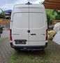Mercedes-Benz Sprinter Sprinter Heck 416 CDI 4,1t / 3.250 mm Weiß - thumbnail 2