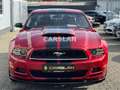 Ford Mustang 3.7 V6 COUPE "LEDER+BI-XENON+LED+SPORT" Rot - thumbnail 2
