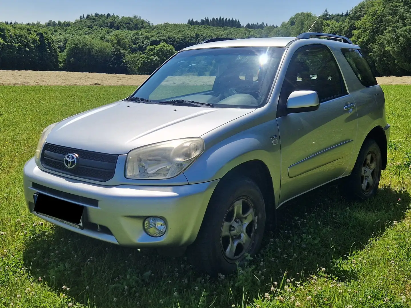 Toyota RAV 4 4x4 2004 Silber - 1