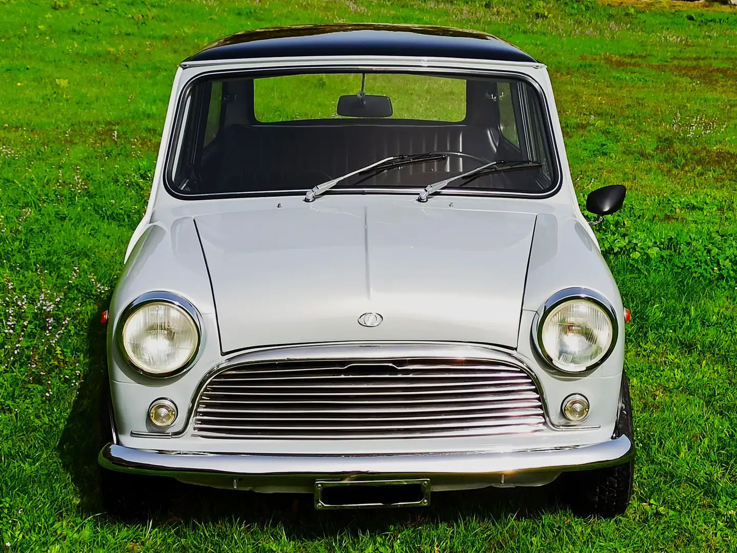 Innocenti Mini Сірий - 1