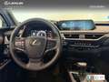Lexus UX 250h Business 2WD Blanco - thumbnail 11