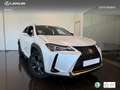 Lexus UX 250h Business 2WD Blanco - thumbnail 12