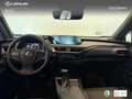 Lexus UX 250h Business 2WD Blanco - thumbnail 8