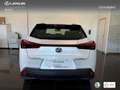 Lexus UX 250h Business 2WD Blanco - thumbnail 5