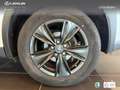 Lexus UX 250h Business 2WD Blanco - thumbnail 10
