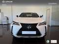 Lexus UX 250h Business 2WD Blanco - thumbnail 4