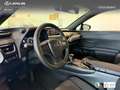Lexus UX 250h Business 2WD Blanco - thumbnail 20