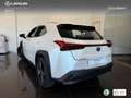 Lexus UX 250h Business 2WD Blanco - thumbnail 14