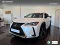 Lexus UX 250h Business 2WD Blanco - thumbnail 1