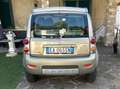 Fiat Panda Panda II 2003 1.3 mjt 16v Cross esp 4x4 Oro - thumbnail 2