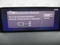 Mazda CX-5 2.2 Skyactiv-D Evolution 2WD Aut. 110Kw Negro - thumbnail 22