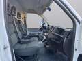 Fiat Ducato MAXI 2.3 MJT 140 L4H2 SPONDA PORT.500KG IDRAULICA Wit - thumbnail 24