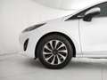 Ford Fiesta 5p 1.0 ecoboost h Titanium 125cv powershift Bianco - thumbnail 24