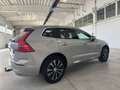 Volvo XC60 B4 (d) AWD Geartronic Inscription Tettuccio Aprib. Gris - thumbnail 6