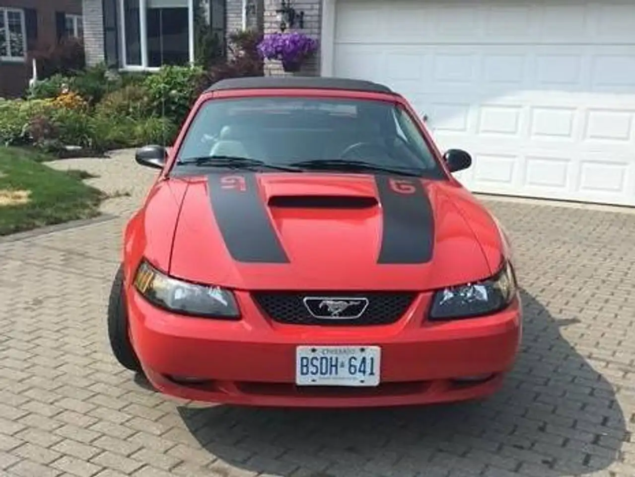 Ford Mustang снимка Ford Mustang