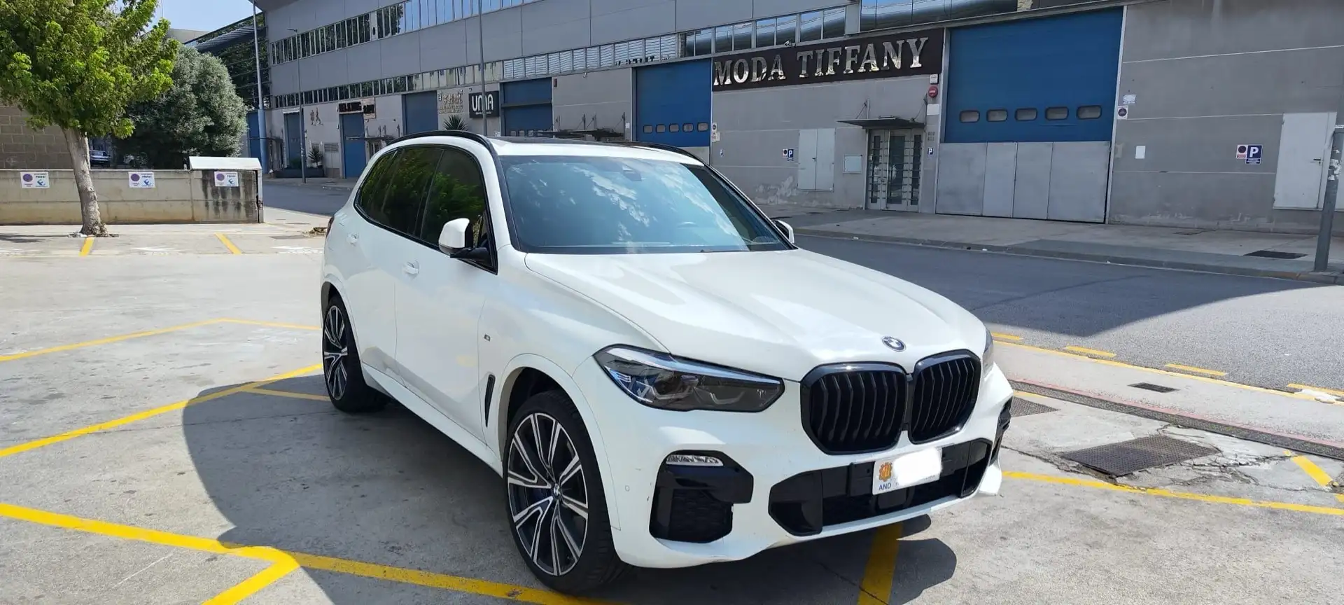 BMW X5 xDrive40d xLine Blanco - 1