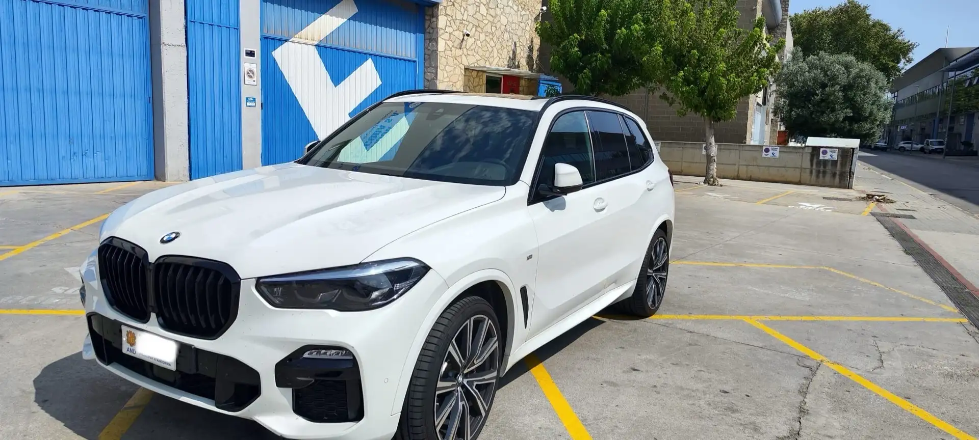 BMW X5 xDrive40d xLine Blanco - 2