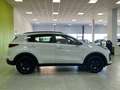 Kia Sportage 1.6 MHEV Black Edition 4x2 136 Blanco - thumbnail 4