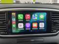 Kia Sportage 1.6 MHEV Black Edition 4x2 136 Blanco - thumbnail 20