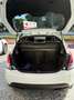 Lancia Ypsilon Ypsilon III 2021 1.0 firefly hybrid Gold Plus s Bianco - thumbnail 1