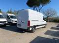 Mercedes-Benz Sprinter 311 2.1 cdi F 39 33 fwd H2 my20 +iva Blanc - thumbnail 6