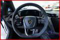Lamborghini Revuelto 6.5 V12 AD PERSONAM|IVA ESP Blu/Azzurro - thumbnail 9