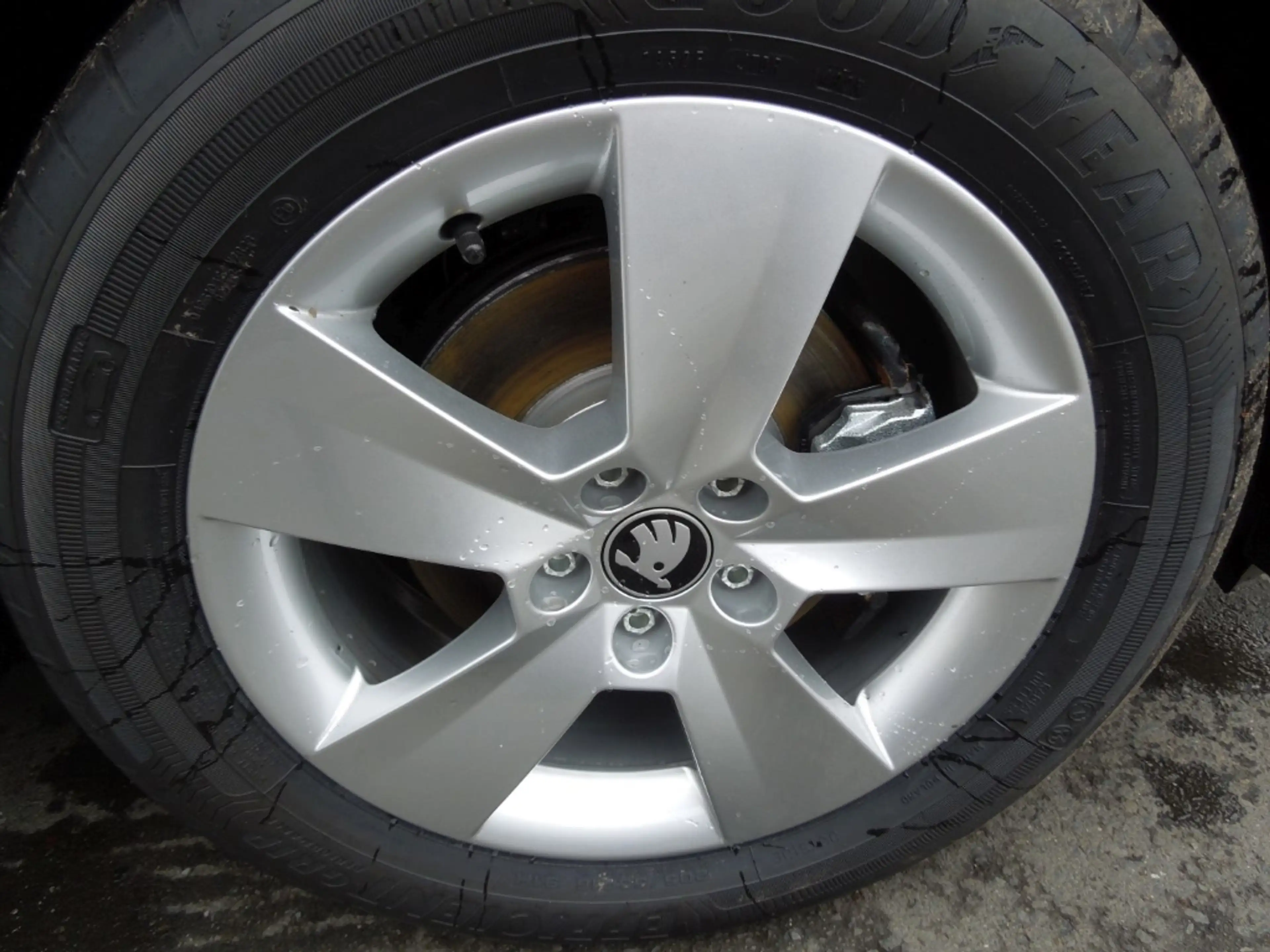 Skoda Scala 1.5TSI Selection/Klimaautomatik/Sitzheizung/Kamera — photo 13
