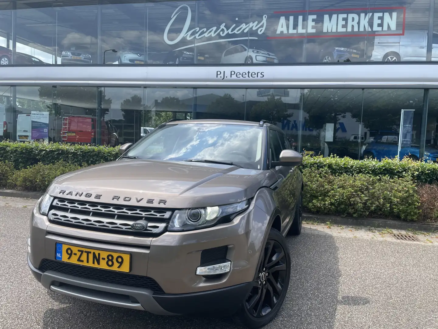 Land Rover Range Rover Evoque 2.2 TD4 4WD Pure Business Edition Automaat - Trekh Gris - 1