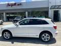 Audi Q5 Q5 2.0 TDI 190 CV clean diesel quattro S tr. Advan Bianco - thumbnail 1