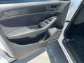 Audi Q5 Q5 2.0 TDI 190 CV clean diesel quattro S tr. Advan Bianco - thumbnail 14