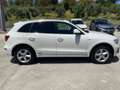 Audi Q5 Q5 2.0 TDI 190 CV clean diesel quattro S tr. Advan Bianco - thumbnail 3