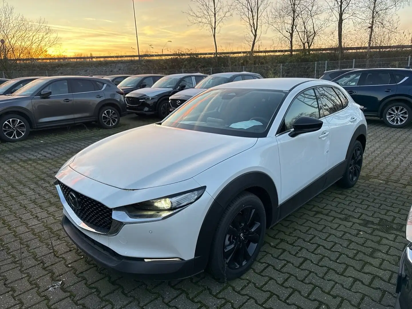 Mazda CX-30 2024 Homura e-SKYACTIV-G 2.0 150PS M Hybrid Blanc - 1