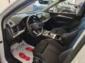 Audi Q5 50TFSIe Plug-In quattro S tronic FariLED Cerchi18” Bianco - thumbnail 37