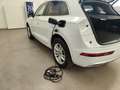 Audi Q5 50TFSIe Plug-In quattro S tronic FariLED Cerchi18” Bianco - thumbnail 39