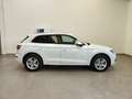 Audi Q5 50TFSIe Plug-In quattro S tronic FariLED Cerchi18” Bianco - thumbnail 44