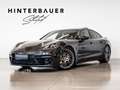 Porsche Panamera 4 E-Hybrid Platium Edition *LUFT*PANO*21'' Grau - thumbnail 1