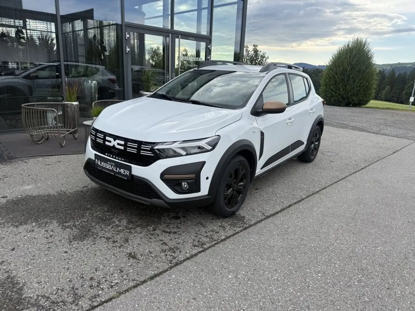 Dacia Sandero Stepway Extreme+ Anhängekupplung Alu-WR Weiß - 1