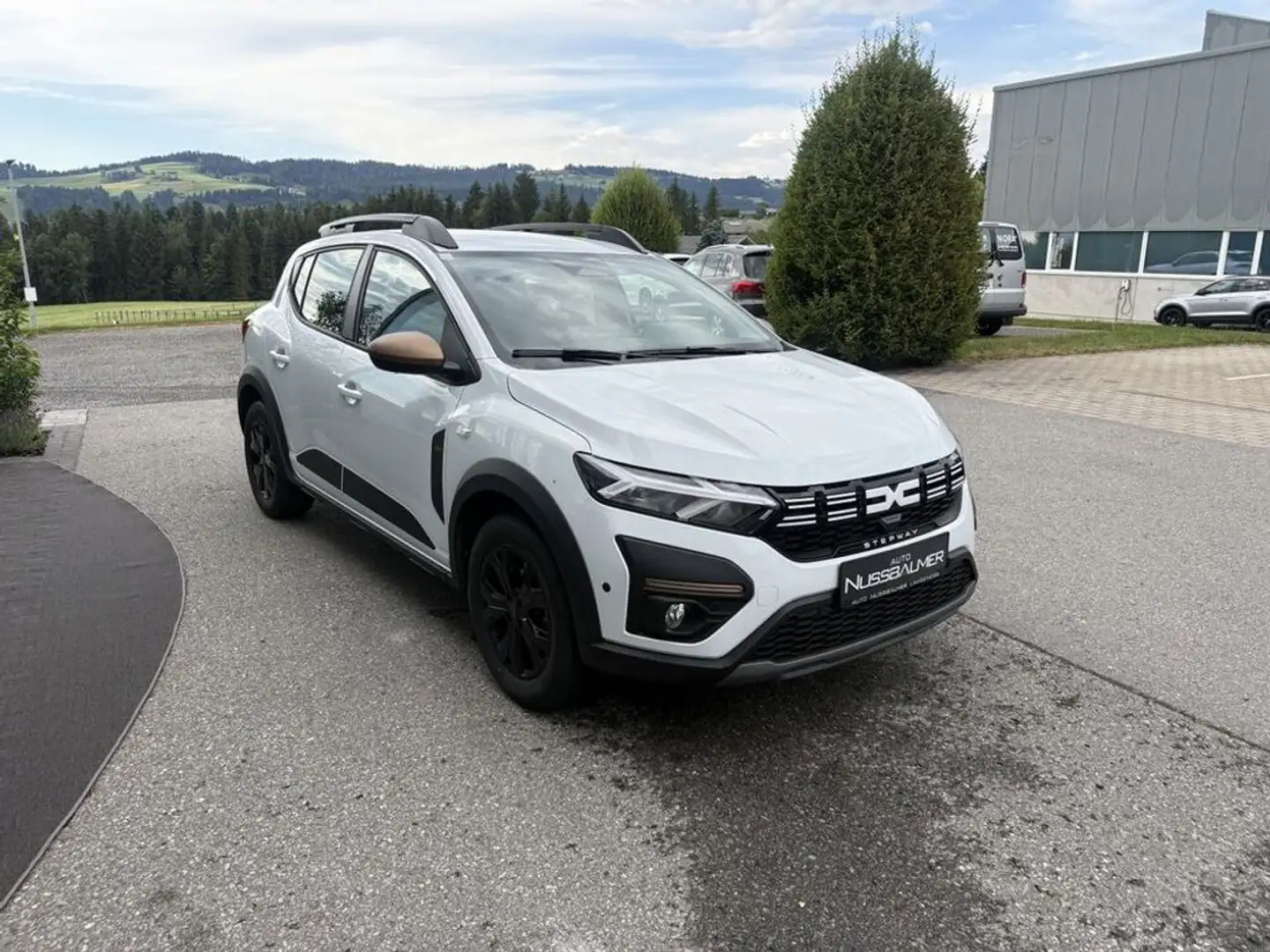 Dacia Sandero Stepway Extreme+ Anhängekupplung Alu-WR Weiß - 2