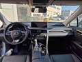 Lexus RX 450h 3.5 Executive cvt Argento - thumbnail 6
