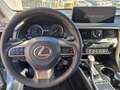 Lexus RX 450h 3.5 Executive cvt Argento - thumbnail 7